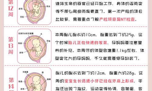 利巴韦林颗粒什么价网 - 网站提供利巴韦林泡腾颗粒小常识、利巴韦林泡腾颗粒