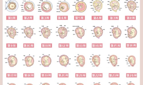 利巴韦林颗粒什么价网 - 网站提供利巴韦林泡腾颗粒小常识、利巴韦林泡腾颗粒